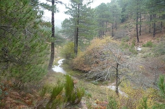 Senderismo en la Sierra del Agua (Albacete)  - 342