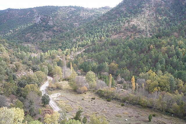 Senderismo en la Sierra del Agua (Albacete)  - 433