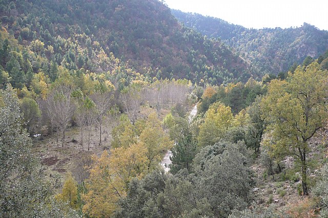 Senderismo en la Sierra del Agua (Albacete)  - 437