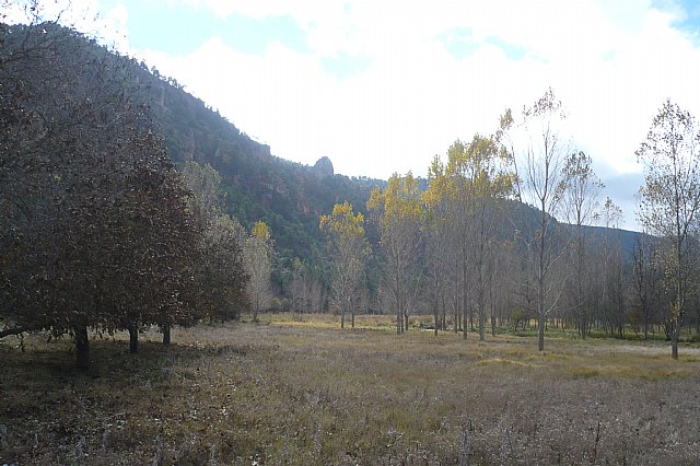 Senderismo en la Sierra del Agua (Albacete)  - 459