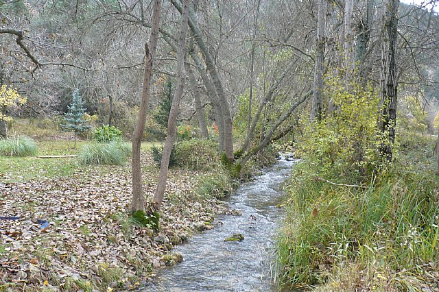 Senderismo en la Sierra del Agua (Albacete)  - 462