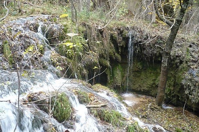 Senderismo en la Sierra del Agua (Albacete)  - 480