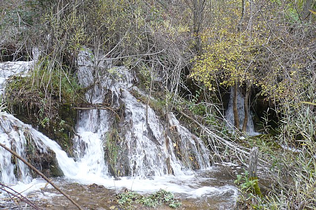 Senderismo en la Sierra del Agua (Albacete)  - 483