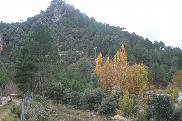 Senderismo en la Sierra del Agua (Albacete)  - 486