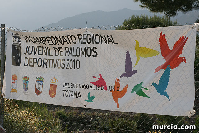 Suelta de palomos - Campeonato Regional Juvenil de Palomos Deportivos - 2