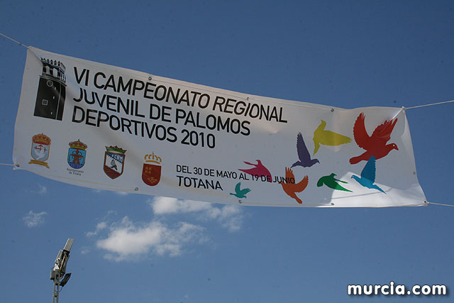VI Campeonato Regional Juvenil de Palomos Deportivos 2010 - 2