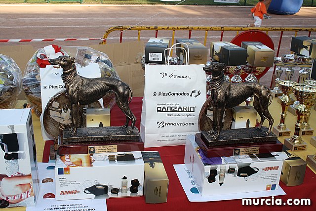 Charca Grande 2011 - Gran premio Panzamelba - 44