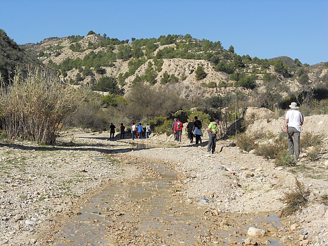 Ruta de senderismo y visita guiada por los arquelogos al Yacimiento Argrico de la Bastida - 95