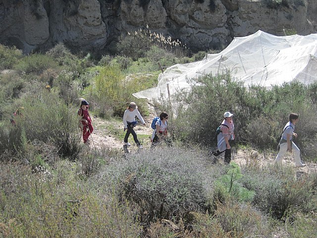 Ruta de senderismo y visita guiada por los arquelogos al Yacimiento Argrico de la Bastida - 121