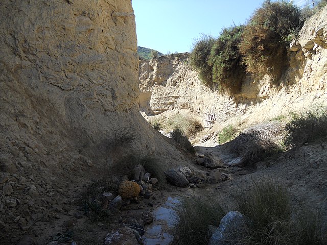 Ruta de senderismo y visita guiada por los arquelogos al Yacimiento Argrico de la Bastida - 132