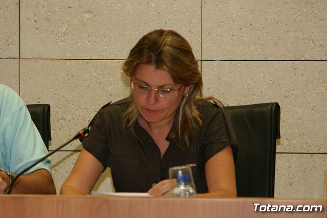 Pleno ordinario junio 2008  - 44