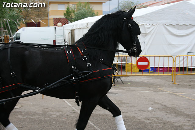 Paseo en caballos. Fiestas rocieras. Totana 2010 - 23