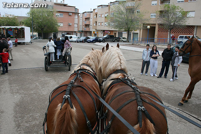 Paseo en caballos. Fiestas rocieras. Totana 2010 - 38