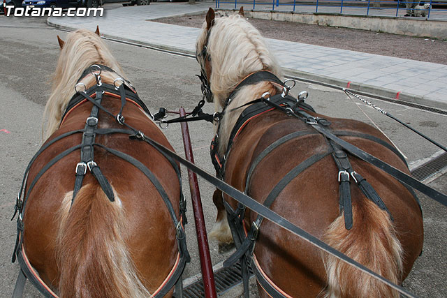 Paseo en caballos. Fiestas rocieras. Totana 2010 - 39