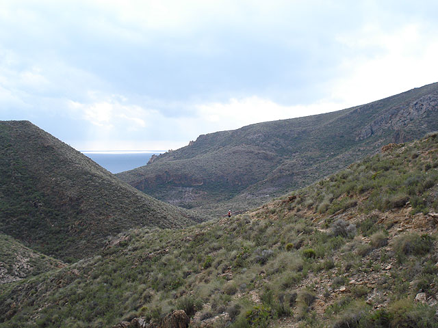 El club senderista de Totana realiza una ruta por el Espacio Natural de la Muela-Cabo Tioso - 2