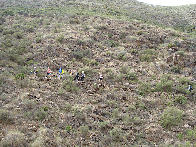 El club senderista de Totana realiza una ruta por el Espacio Natural de la Muela-Cabo Tioso - 4