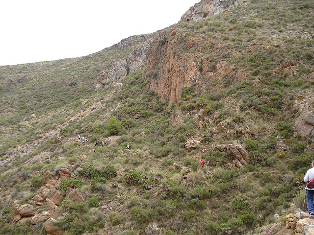 El club senderista de Totana realiza una ruta por el Espacio Natural de la Muela-Cabo Tioso - 6