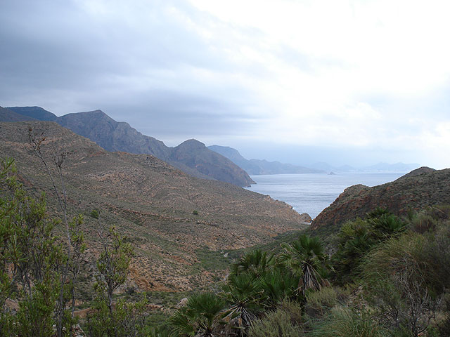 El club senderista de Totana realiza una ruta por el Espacio Natural de la Muela-Cabo Tioso - 7