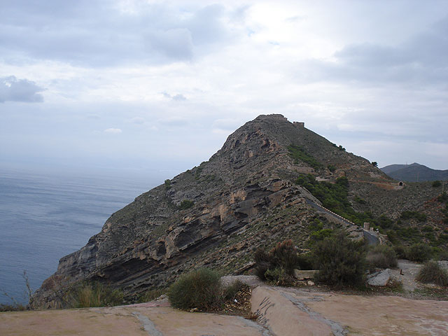 El club senderista de Totana realiza una ruta por el Espacio Natural de la Muela-Cabo Tioso - 31