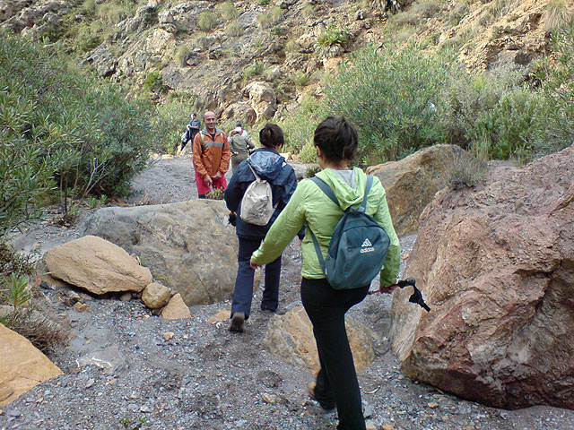 El club senderista de Totana realiza una ruta por el Espacio Natural de la Muela-Cabo Tioso - 35