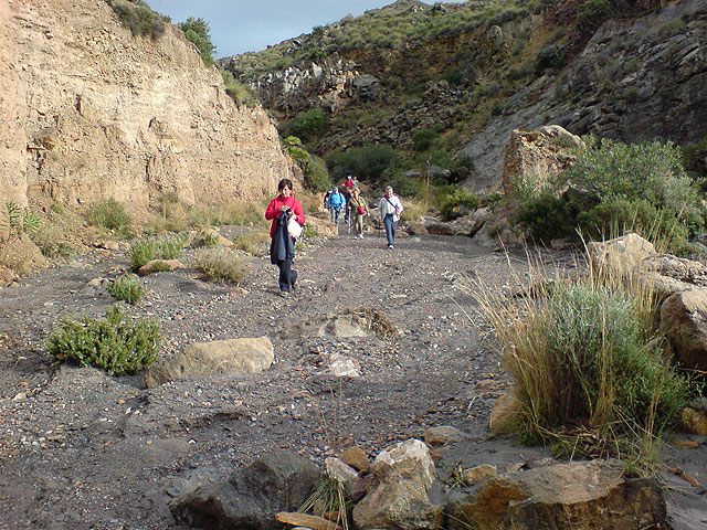 El club senderista de Totana realiza una ruta por el Espacio Natural de la Muela-Cabo Tioso - 36