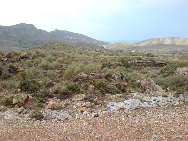 El club senderista de Totana realiza una ruta por el Espacio Natural de la Muela-Cabo Tioso - 40