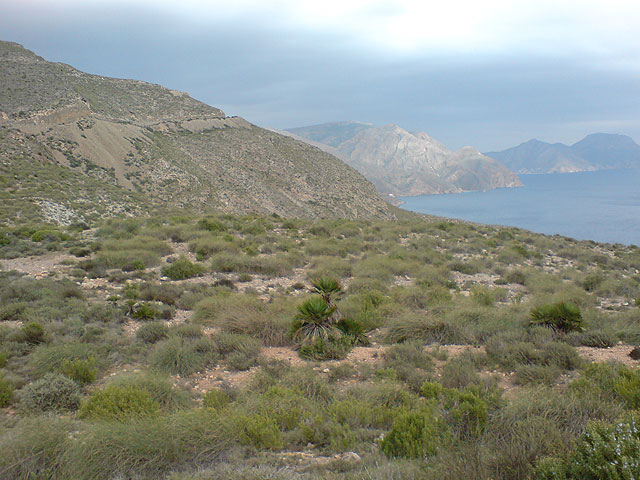 El club senderista de Totana realiza una ruta por el Espacio Natural de la Muela-Cabo Tioso - 125