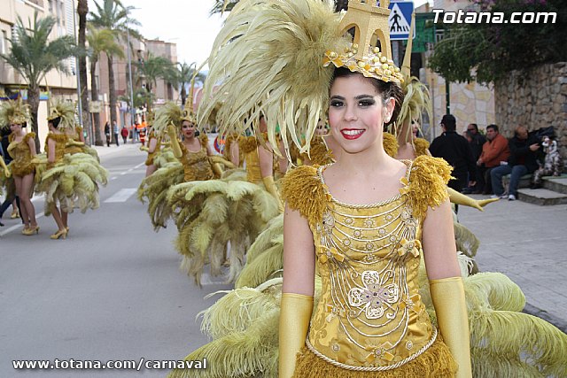 Carnaval Totana 2011 - 16