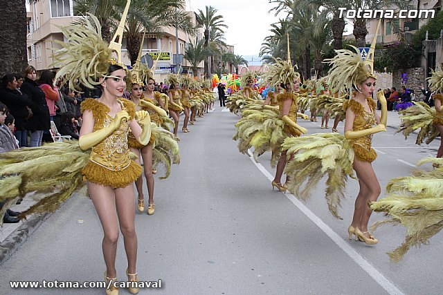 Carnaval Totana 2011 - 58
