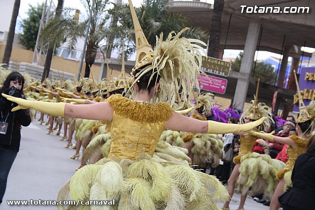 Carnaval Totana 2011 - 90