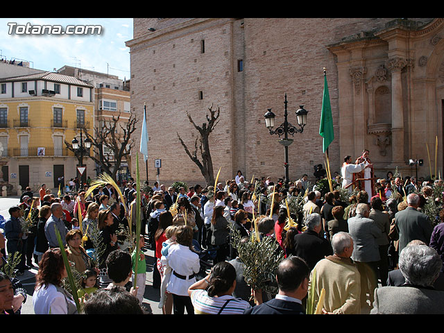 Domingo de Ramos. Semana Santa 2008 - 46