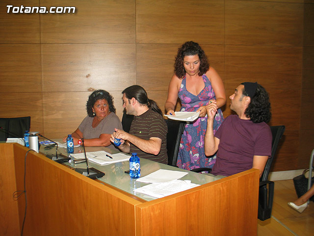 Pleno ordinario Julio 2010 - 12