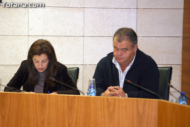 Pleno ordinario noviembre 2009 - 15