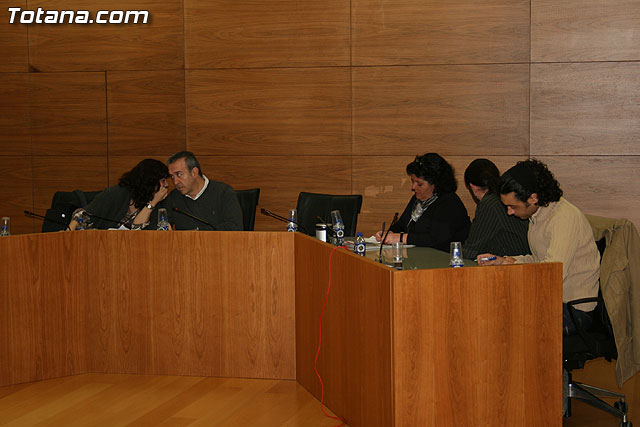 Pleno ordinario febrero 2009   - 5