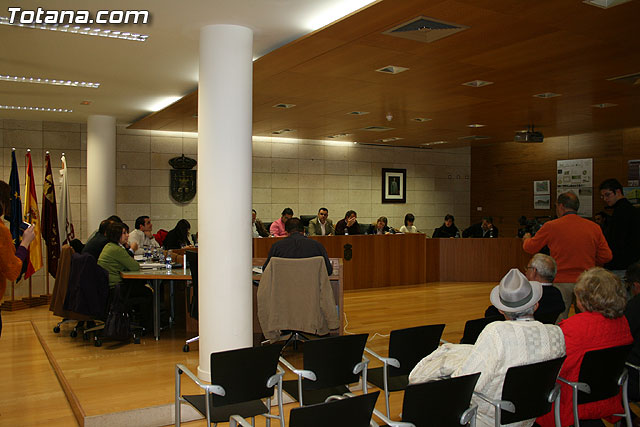 Pleno ordinario noviembre 2008  - 9